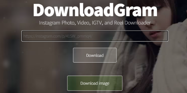 DownloadGram IG - Instagram Downloader Online Terbaik 2022