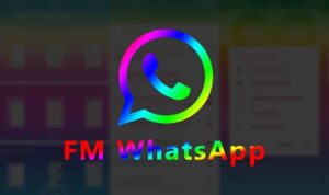 FM Whatsapp Apk (FM WA) Official Versi Terbaru 2022