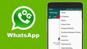 OG Whatsapp (OG WA) Apk Official Versi Terbaru 2022