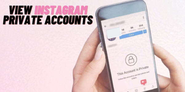 InstaLooker Cara Melihat Akun Instagram Private Tanpa Verifikasi