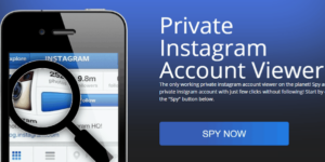 InstaLooker Cara Melihat Akun Instagram Private Tanpa Verifikasi