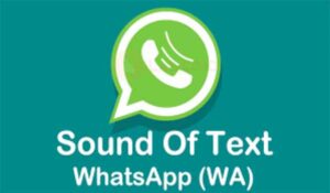 Sound of Text WA (WhatsApp) Yang Keren Bahasa Indonesia 2022